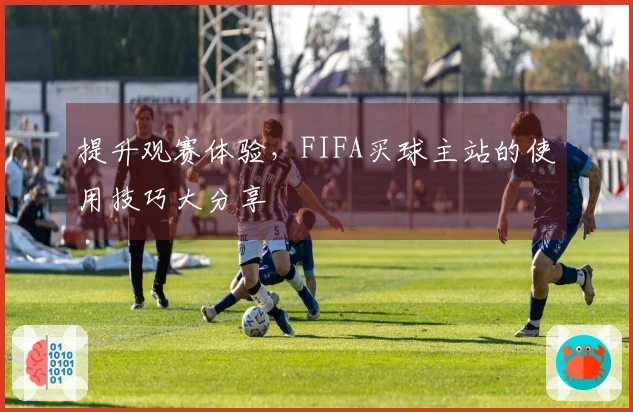 提升观赛体验，FIFA买球主站的使用技巧大分享