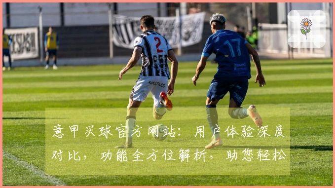 意甲买球官方网站：用户体验深度对比，功能全方位解析，助您轻松掌握