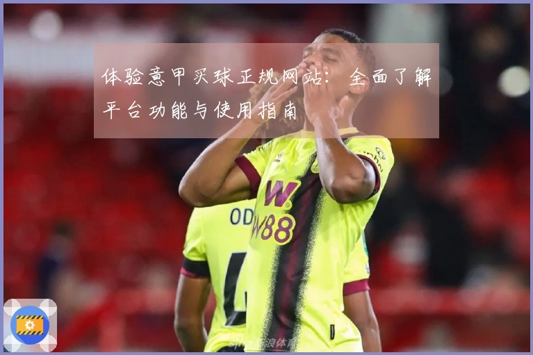 体验意甲买球正规网站：全面了解平台功能与使用指南