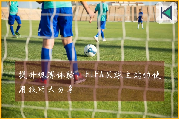 提升观赛体验，FIFA买球主站的使用技巧大分享