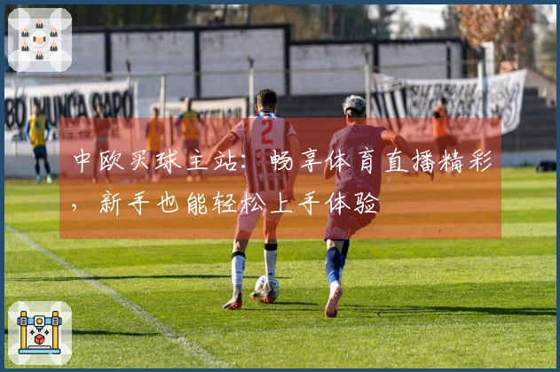 中欧买球主站：畅享体育直播精彩，新手也能轻松上手体验