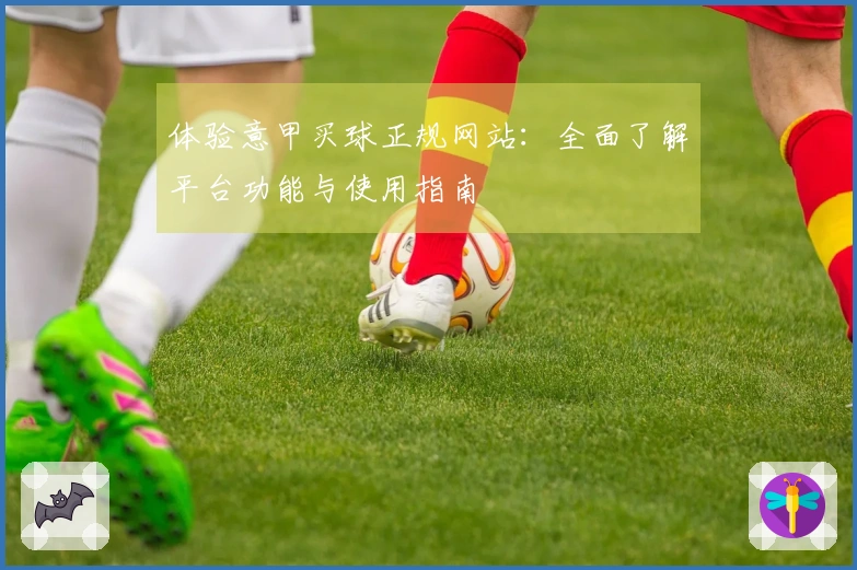 体验意甲买球正规网站：全面了解平台功能与使用指南